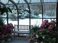 Patio at the Arbor Caf
