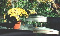 Rotate and crop image