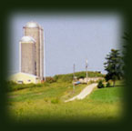 Farm picture
