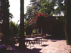 Patio at Old East Dallas home